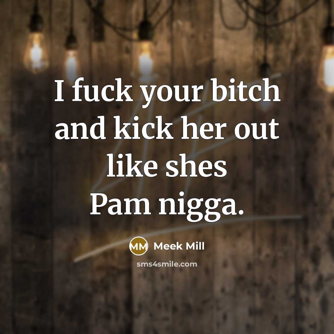 “I fuck your bitch and kick her out like shes Pam nigga.” quote by Meek Mill
