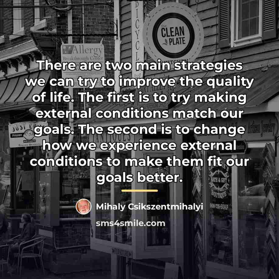 “There are two main strategies we can try to improve…” quote by Mihaly Csikszentmihalyi