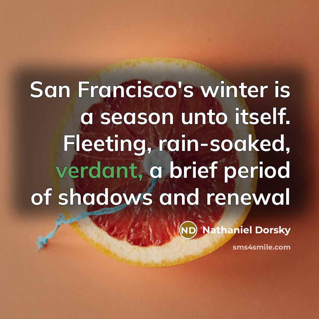 “San Francisco's winter is a season unto itself. Fleeting, rain-soaked,…” quote by Nathaniel Dorsky