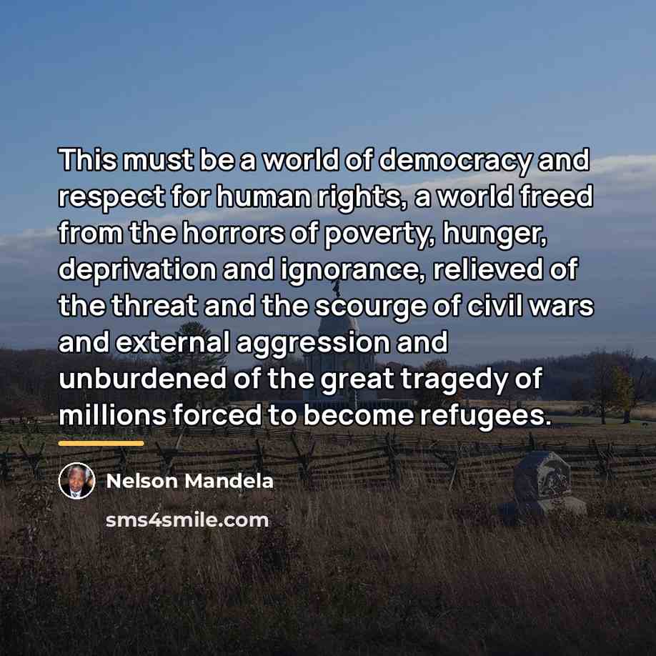 “This must be a world of democracy and respect for…” quote by Nelson Mandela