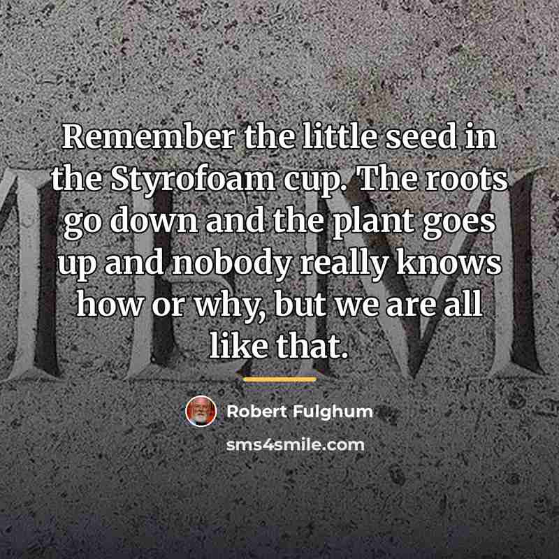 “Remember the little seed in the Styrofoam cup. The roots…” quote by Robert Fulghum