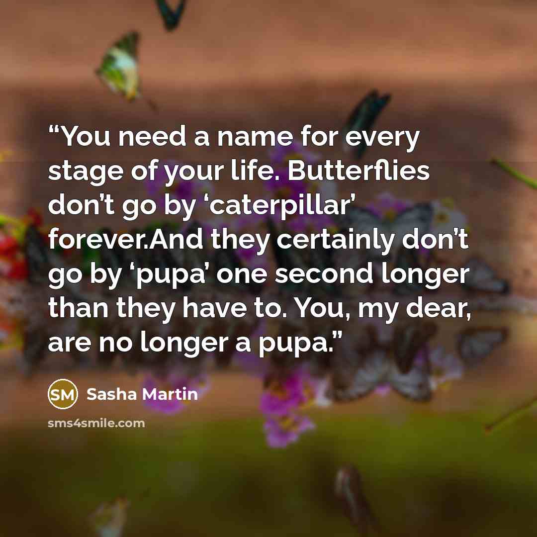 “You need a name for every stage of your life. Butterflies don’t go by ‘caterpillar’ forever.And they certainly don’t go by ‘pupa’ one second longer than they have to. You, my dear, are no longer a pupa.” quote by Sasha Martin