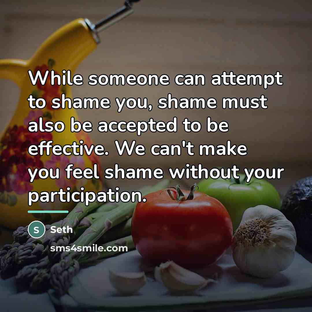 “While someone can attempt to shame you, shame must also…” quote by Seth