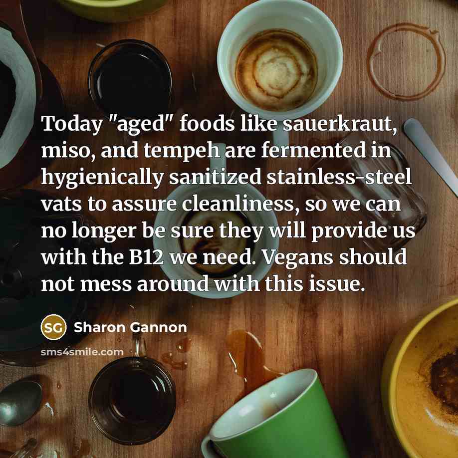 “Today "aged" foods like sauerkraut, miso, and tempeh are fermented…” quote by Sharon Gannon