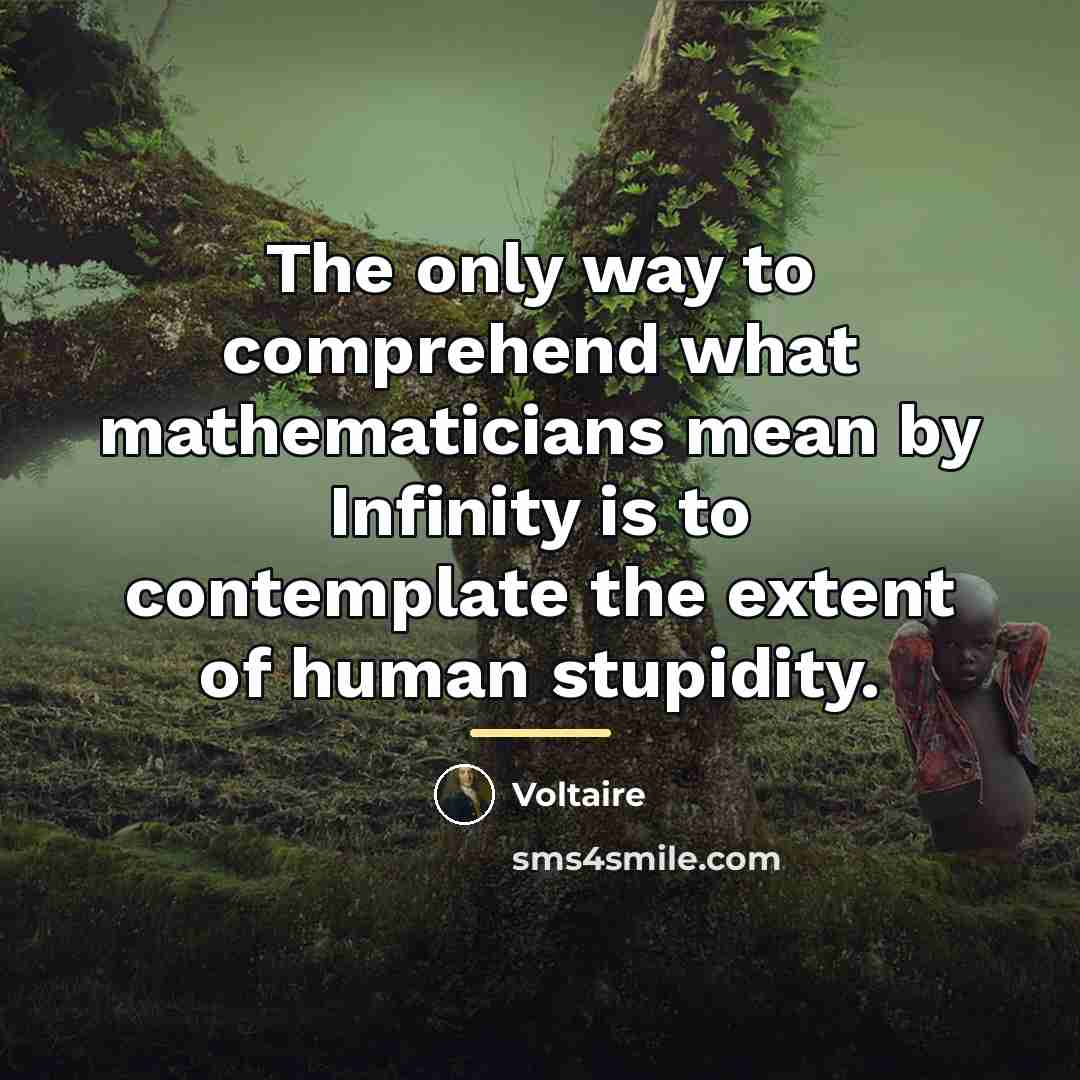 “The only way to comprehend what mathematicians mean by Infinity…” quote by Voltaire
