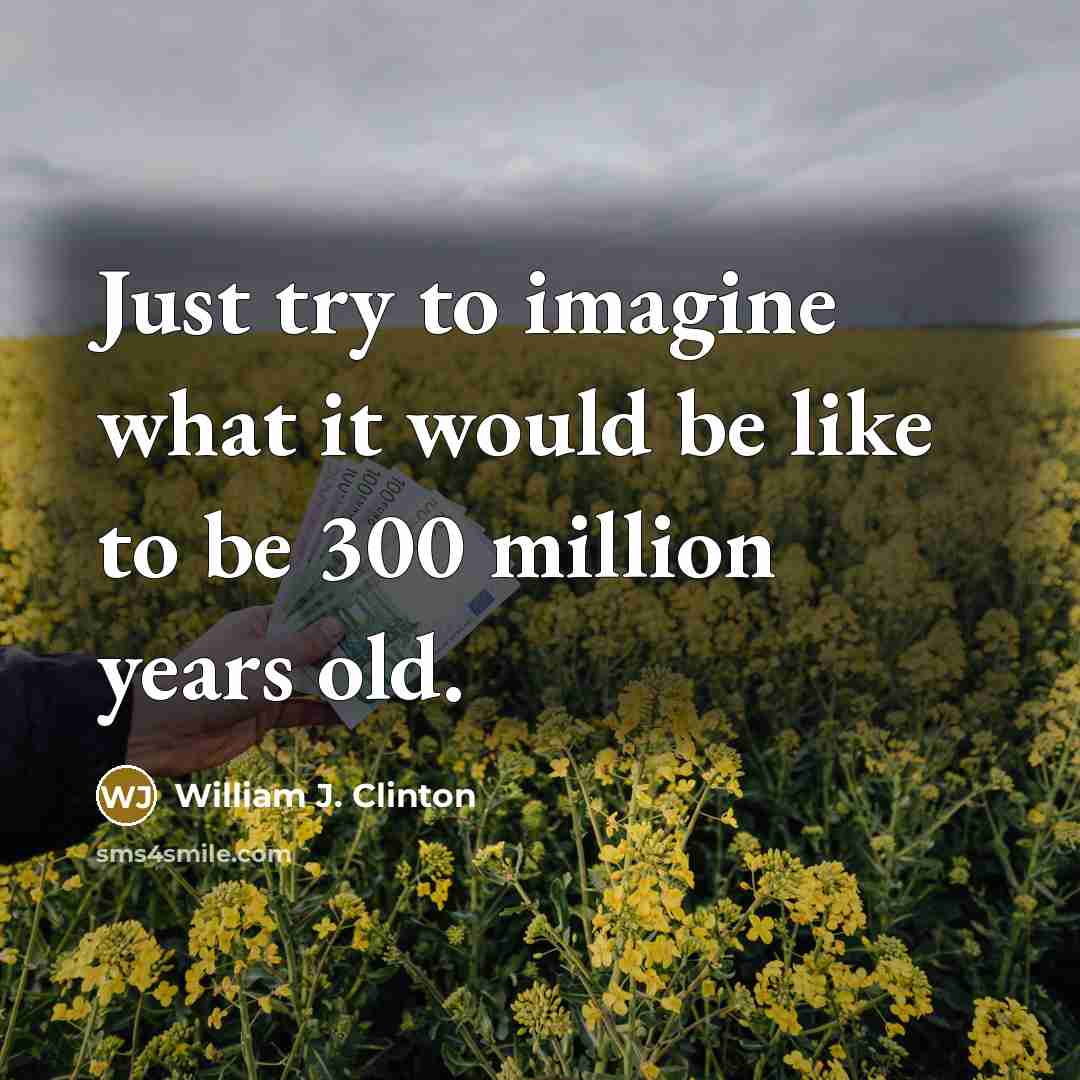 “Just try to imagine what it would be like to…” quote by William J. Clinton