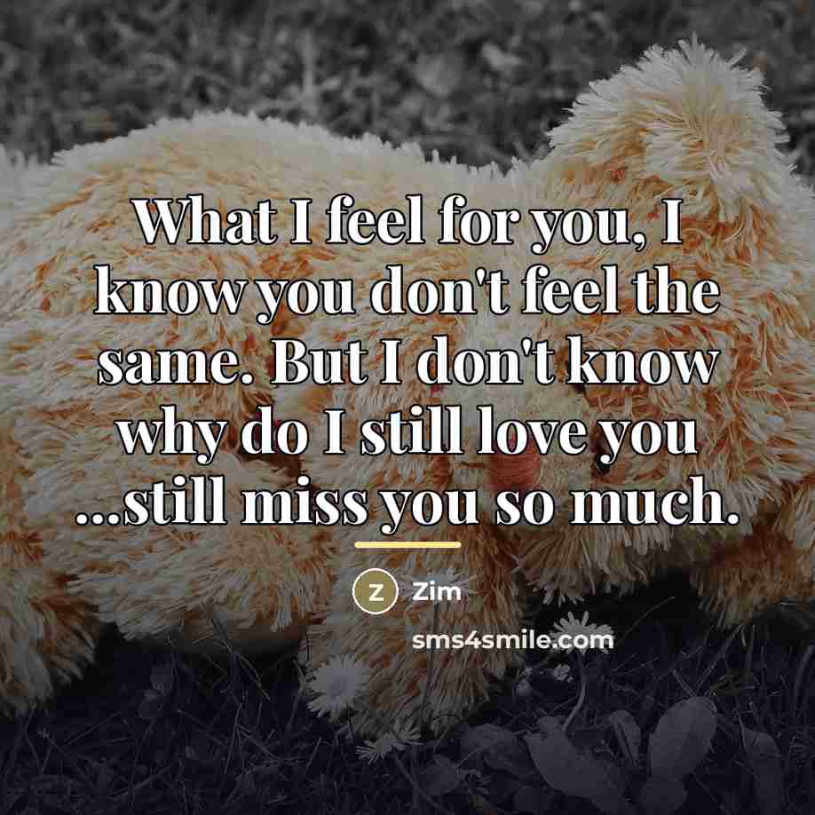 “What I feel for you, I know you don't feel…” quote by Zim
