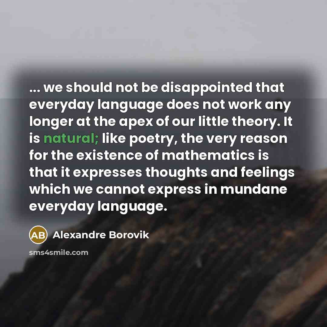 “... we should not be disappointed that everyday language does…” quote by Alexandre Borovik
