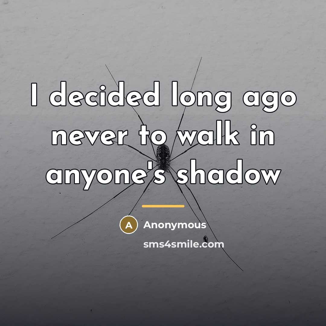 “I decided long ago never to walk in anyone's shadow…” quote by Anonymous
