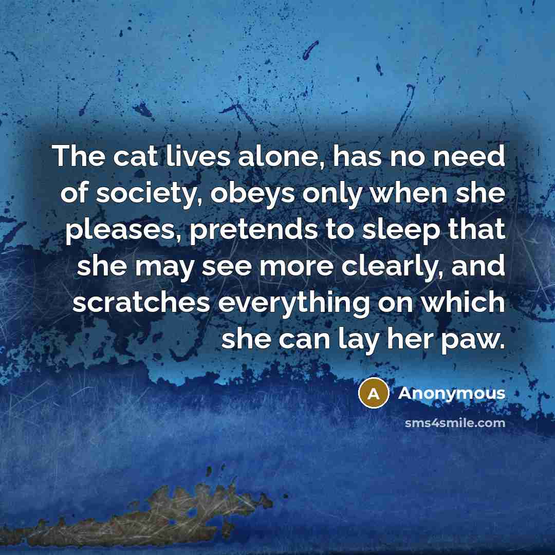 “The cat lives alone, has no need of society, obeys…” quote by Anonymous