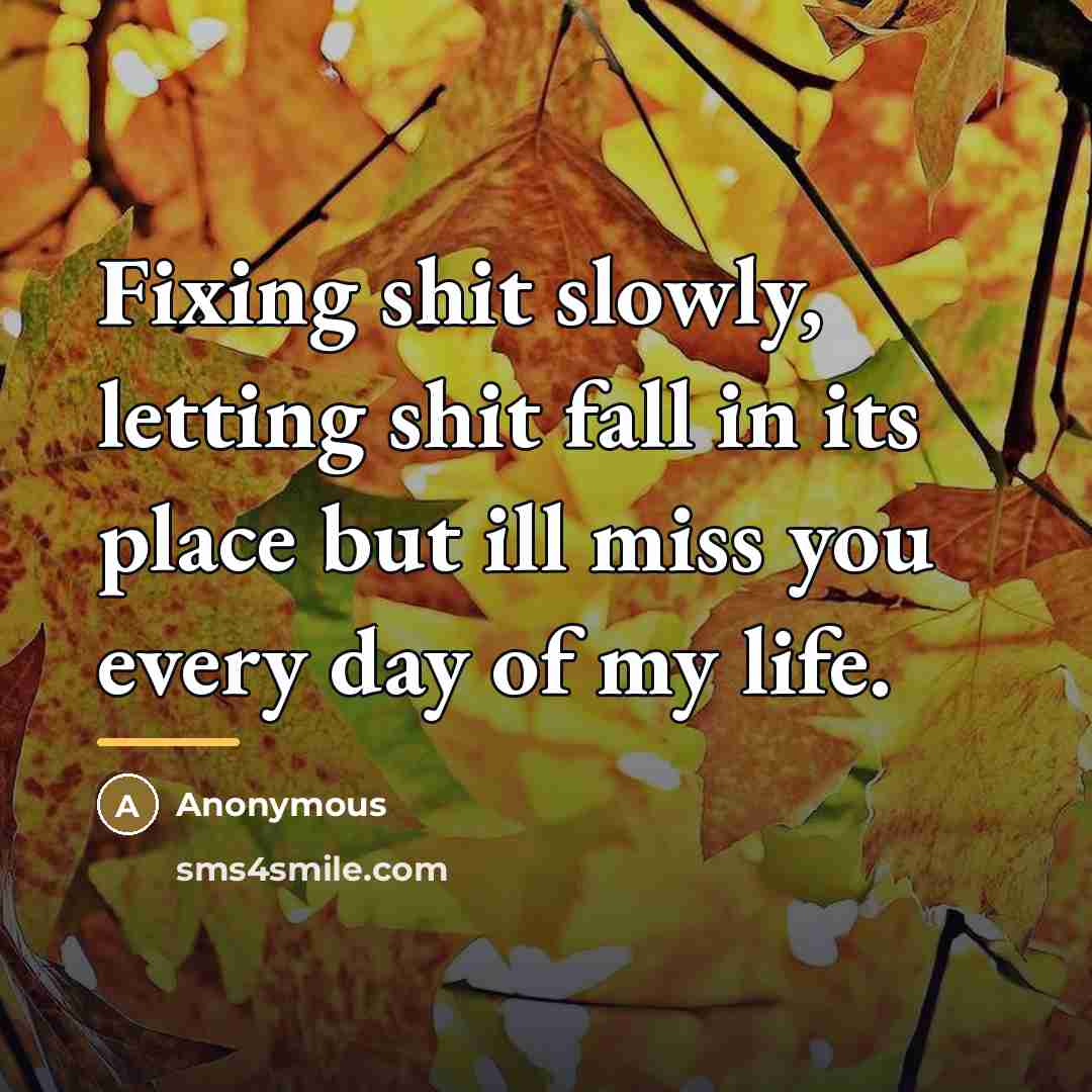 “Fixing shit slowly, letting shit fall in its place but…” quote by Anonymous