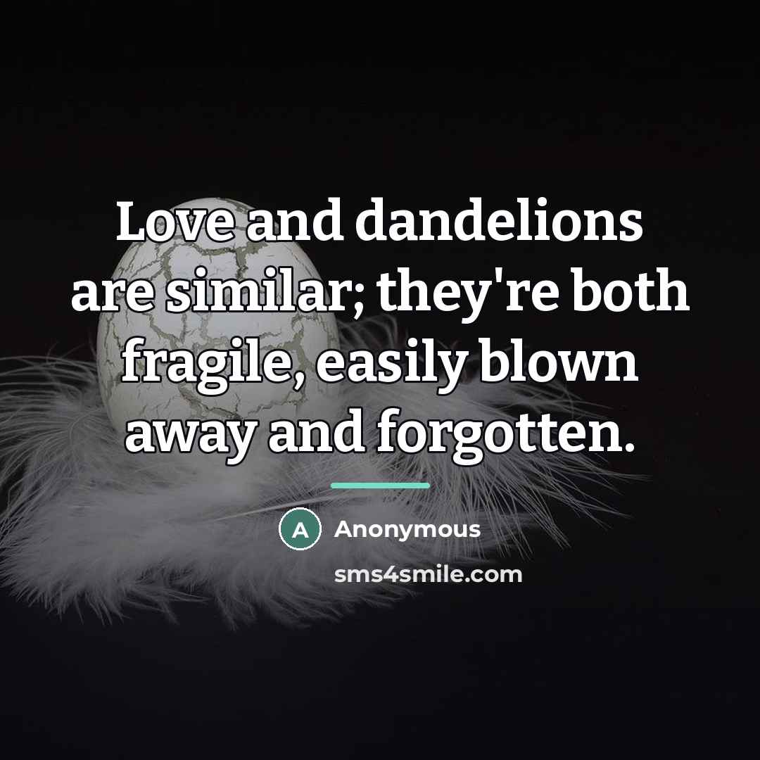 “Love and dandelions are similar; they're both fragile, easily blown…” quote by Anonymous