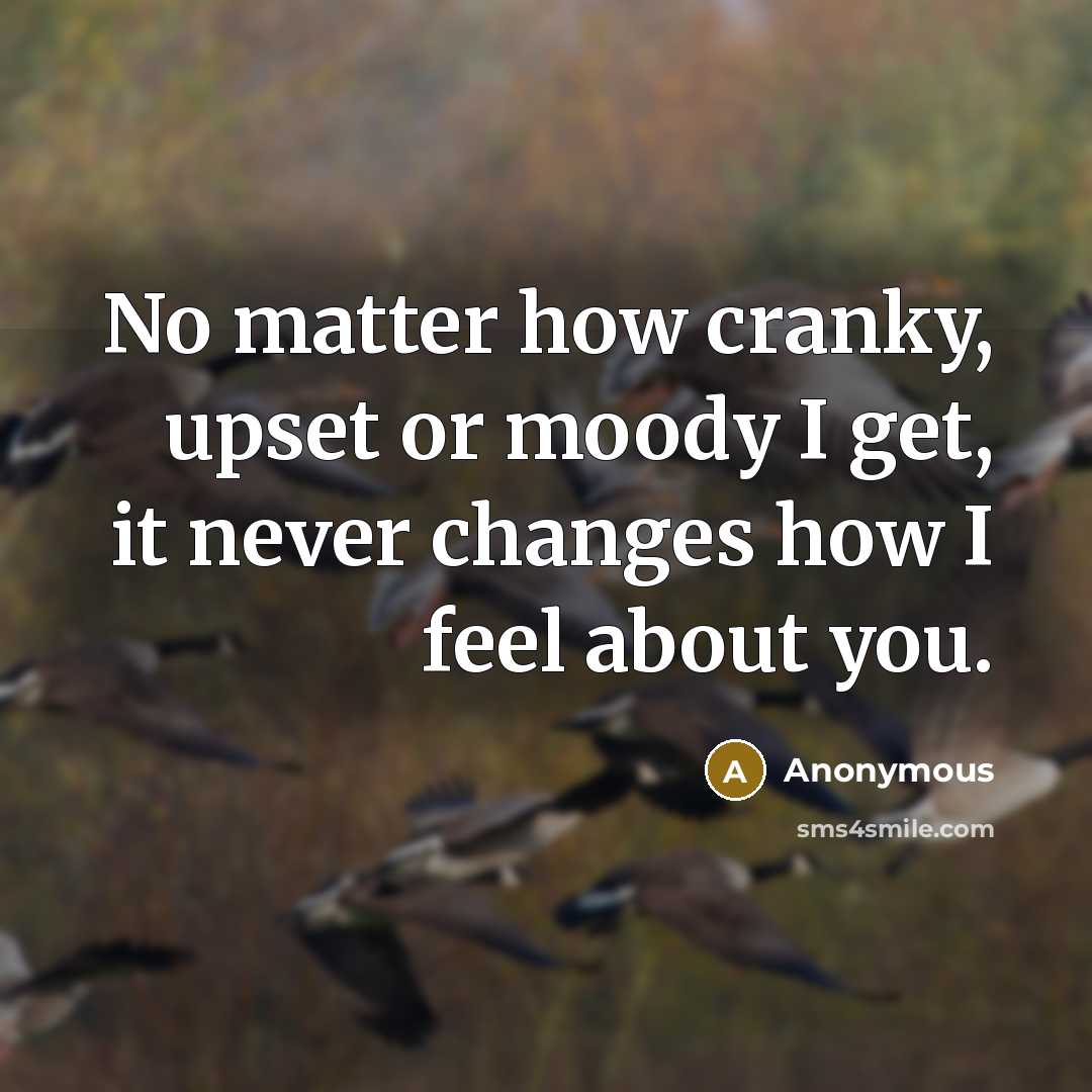 “No matter how cranky, upset or moody I get, it never changes how I feel about you.” quote by Anonymous