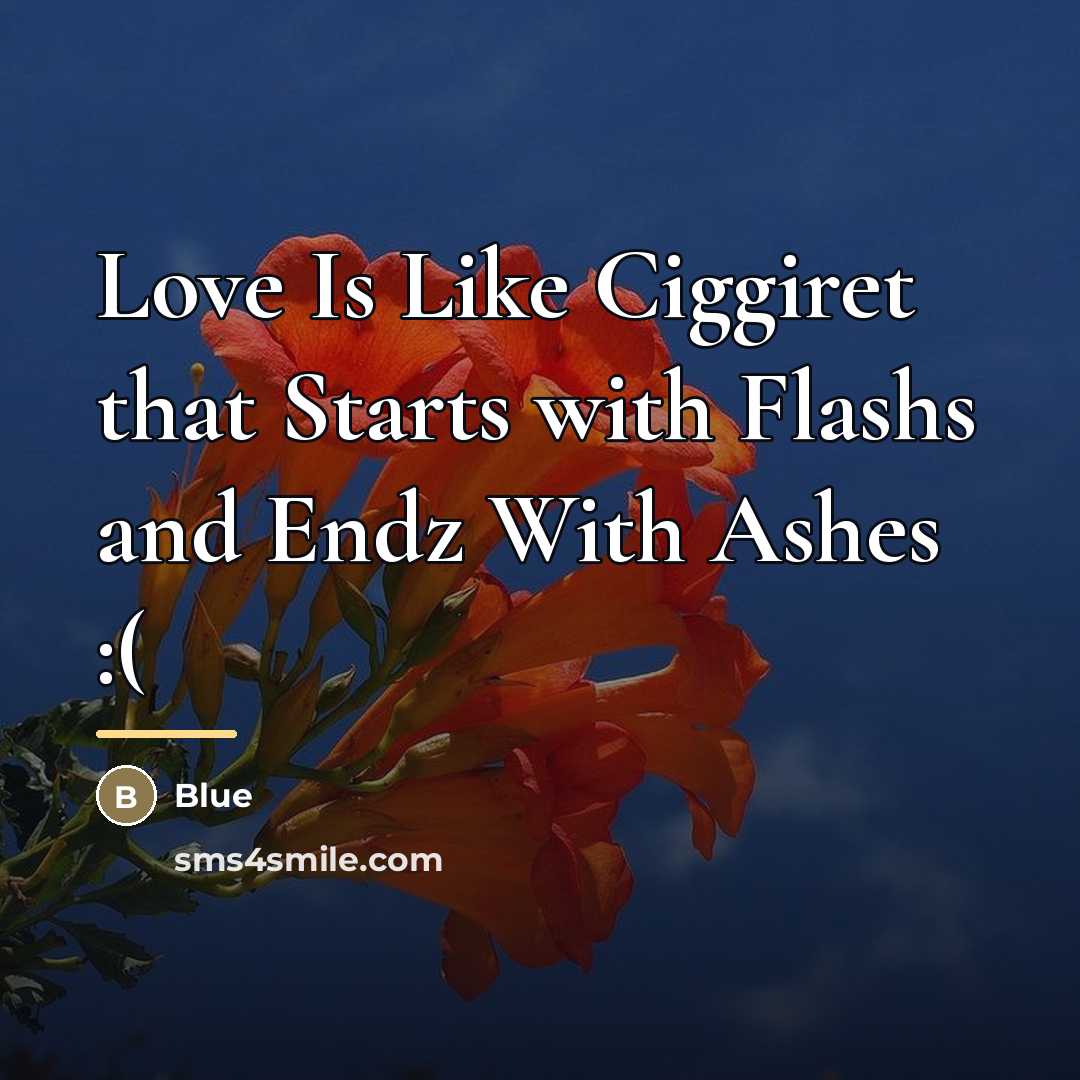 “Love Is Like Ciggiret that Starts with Flashs and Endz…” quote by BLue