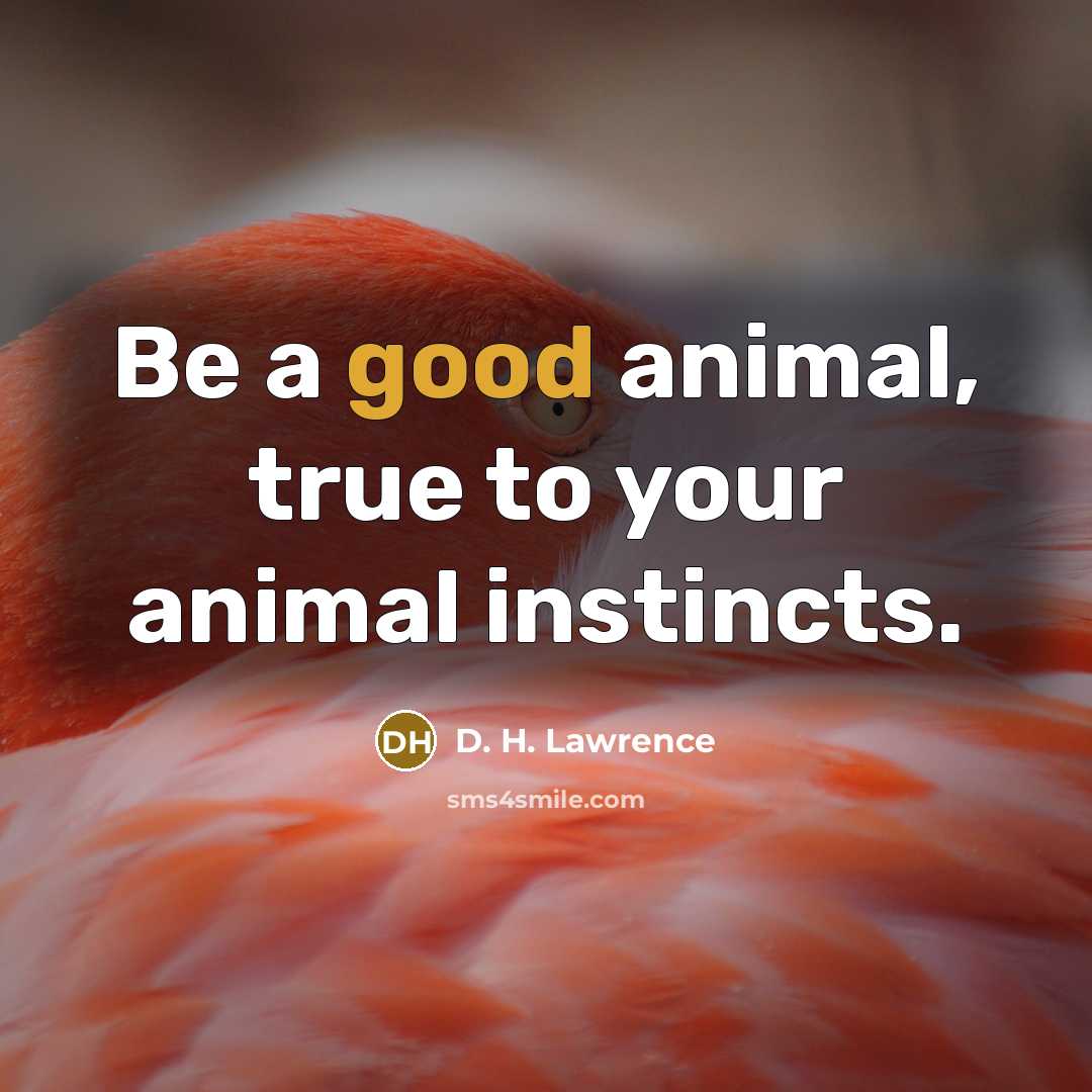 “Be a good animal, true to your animal instincts.…” quote by D. H. Lawrence