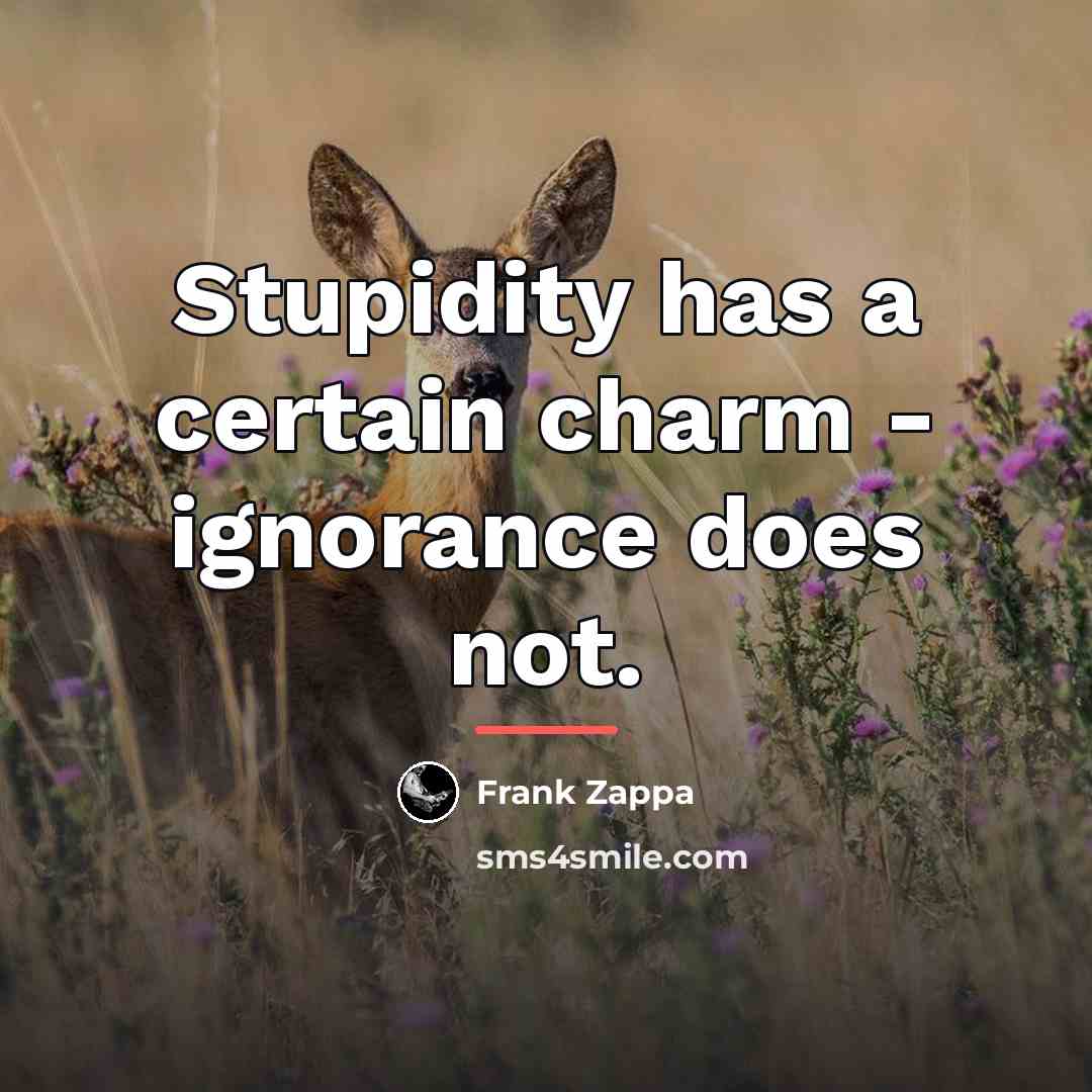 “Stupidity has a certain charm - ignorance does not.…” quote by Frank Zappa