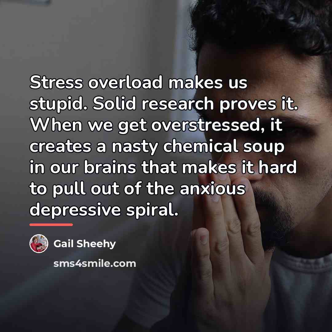 “Stress overload makes us stupid. Solid research proves it. When…” quote by Gail Sheehy