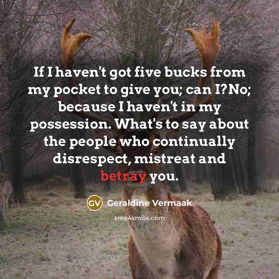 “If I haven't got five bucks from my pocket to…” quote by Geraldine Vermaak