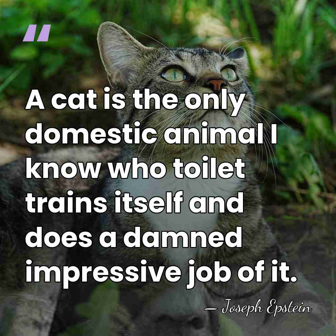 A cat is the only domestic animal I know who toilet trains&hellip; - Joseph Epstein