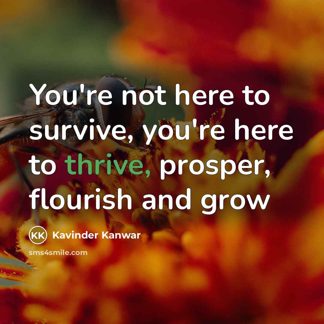 “You're not here to survive, you're here to thrive, prosper, flourish and grow” quote by Kavinder Kanwar