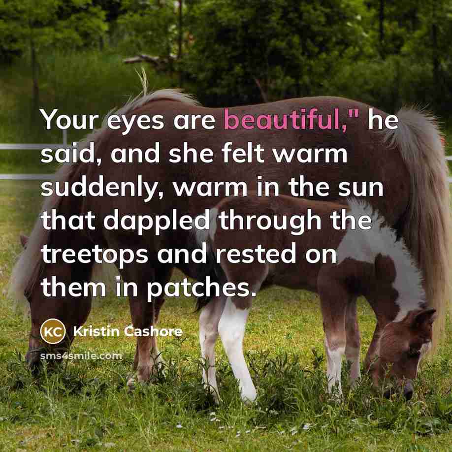 “Your eyes are beautiful," he said, and she felt warm…” quote by Kristin Cashore