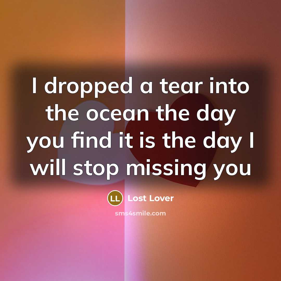 “I dropped a tear into the ocean the day you find it is the day I will stop missing you” quote by Lost Lover