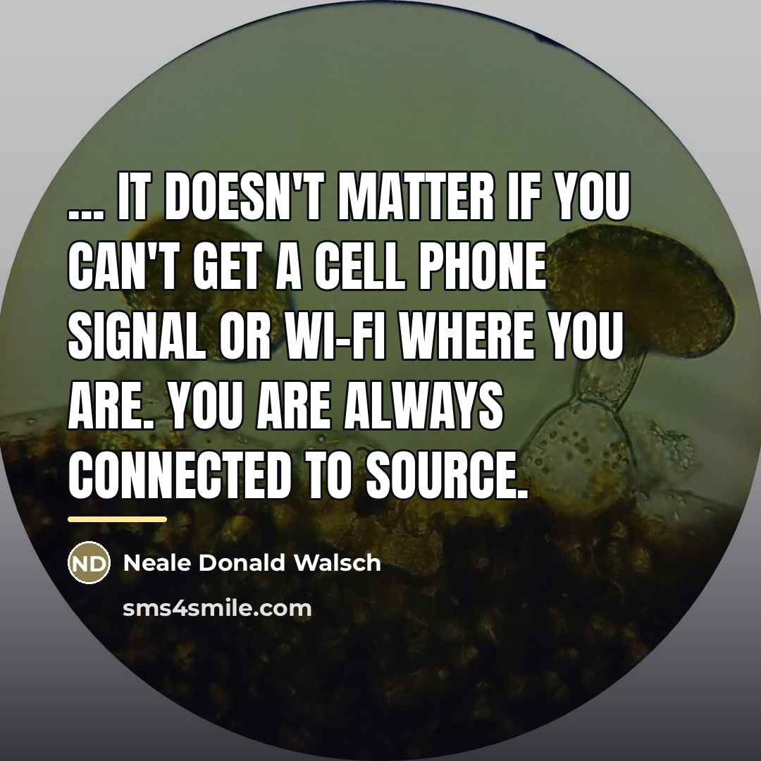 “... it doesn't matter if you can't get a cell…” quote by Neale Donald Walsch