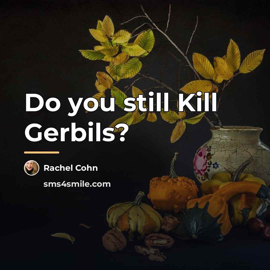 “Do you still Kill Gerbils?…” quote by Rachel Cohn