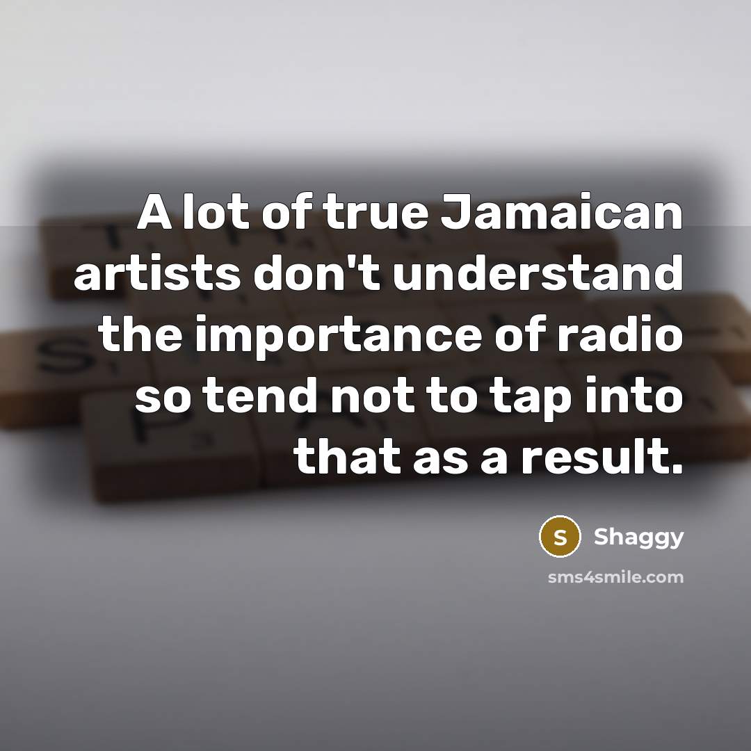 “A lot of true Jamaican artists don't understand the importance…” quote by Shaggy