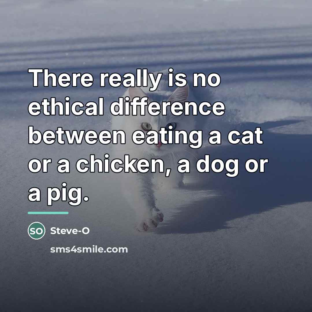 “There really is no ethical difference between eating a cat…” quote by Steve-O