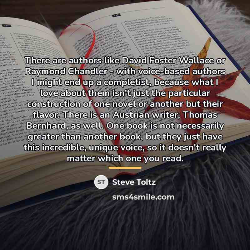 “There are authors like David Foster Wallace or Raymond Chandler…” quote by Steve Toltz