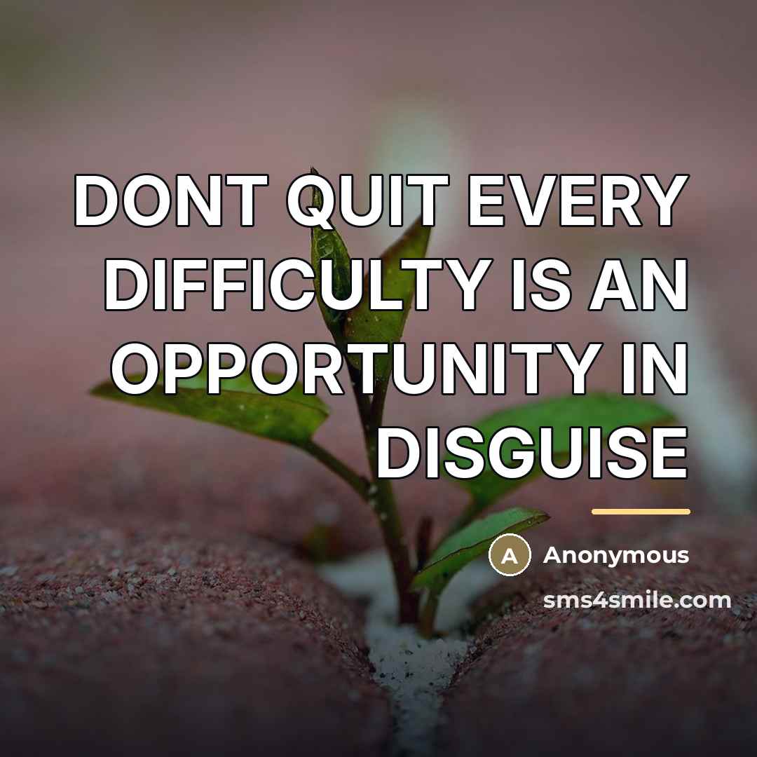 “DONT QUIT EVERY DIFFICULTY IS AN OPPORTUNITY IN DISGUISE…” quote by Anonymous