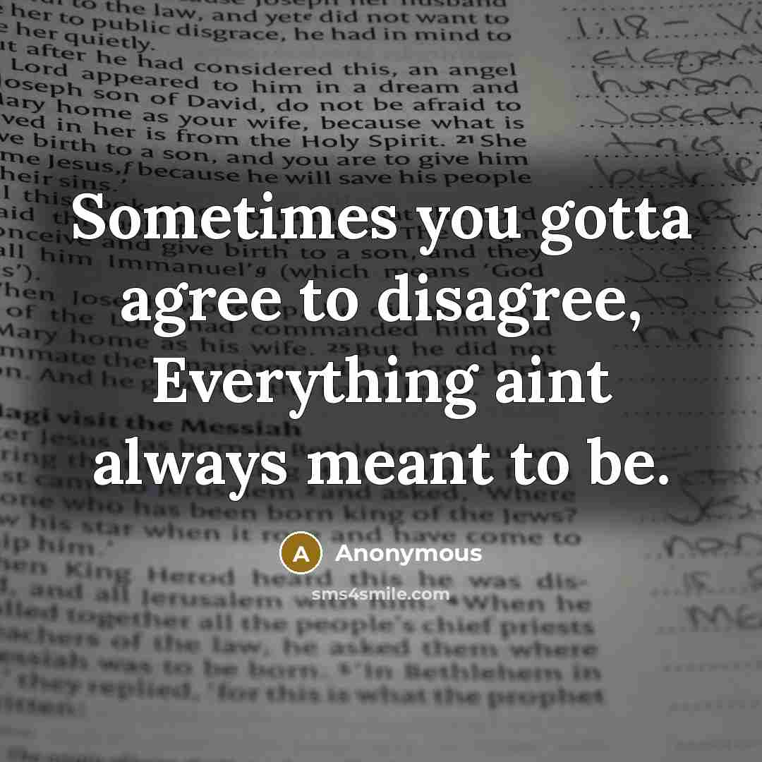 “Sometimes you gotta agree to disagree, Everything aint always meant…” quote by Anonymous