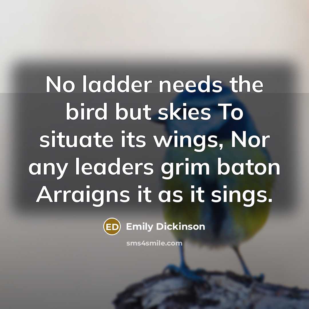 “No ladder needs the bird but skies To situate its…” quote by Emily Dickinson