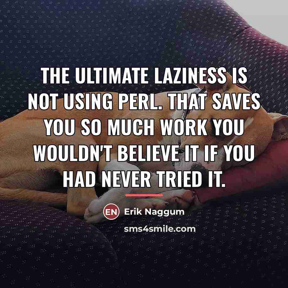 “The ultimate laziness is not using Perl. That saves you…” quote by Erik Naggum