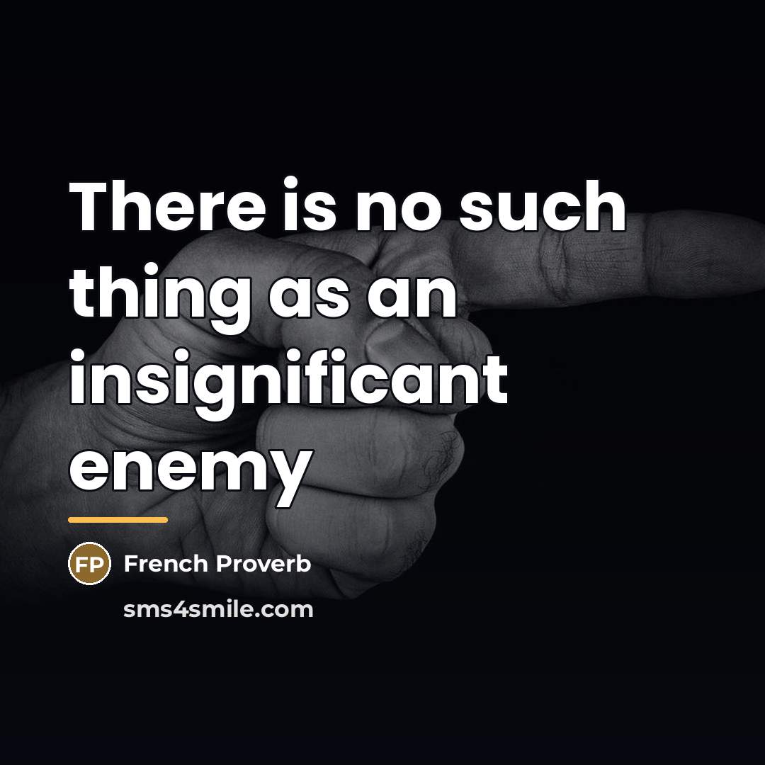 “There is no such thing as an insignificant enemy…” quote by French Proverb