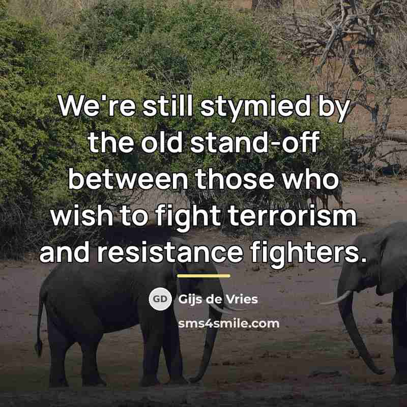 “We're still stymied by the old stand-off between those who…” quote by Gijs de Vries