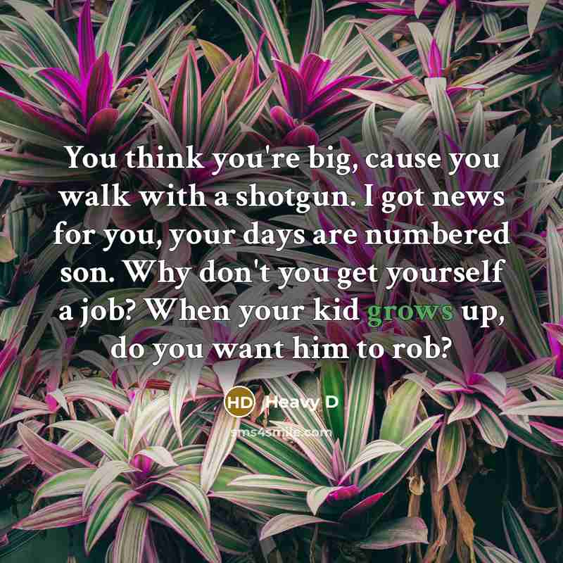 “You think you're big, cause you walk with a shotgun. I got news for you, your days are numbered son. Why don't you get yourself a job? When your kid grows up, do you want him to rob?” quote by Heavy D