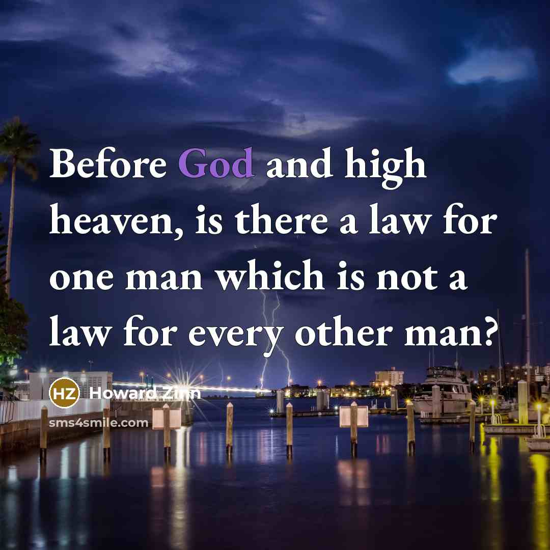 “Before God and high heaven, is there a law for…” quote by Howard Zinn