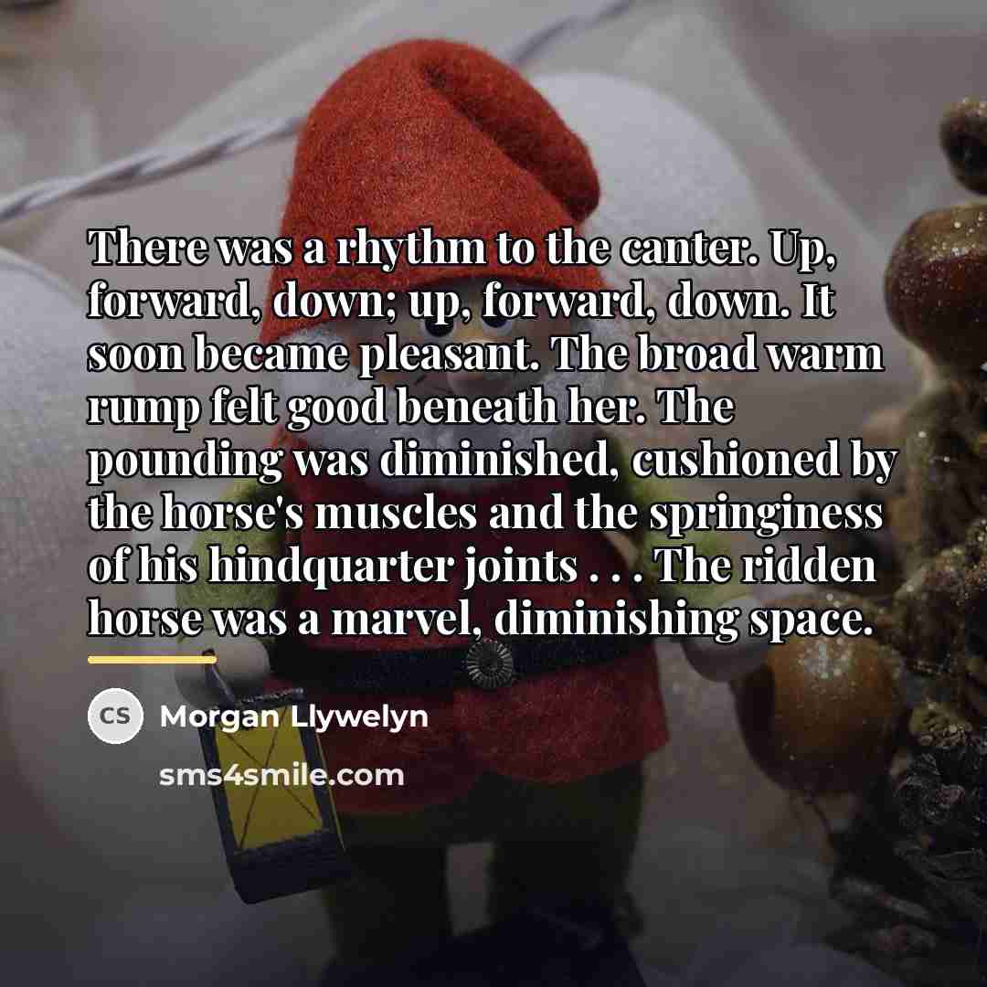 “There was a rhythm to the canter. Up, forward, down;…” quote by Morgan Llywelyn
