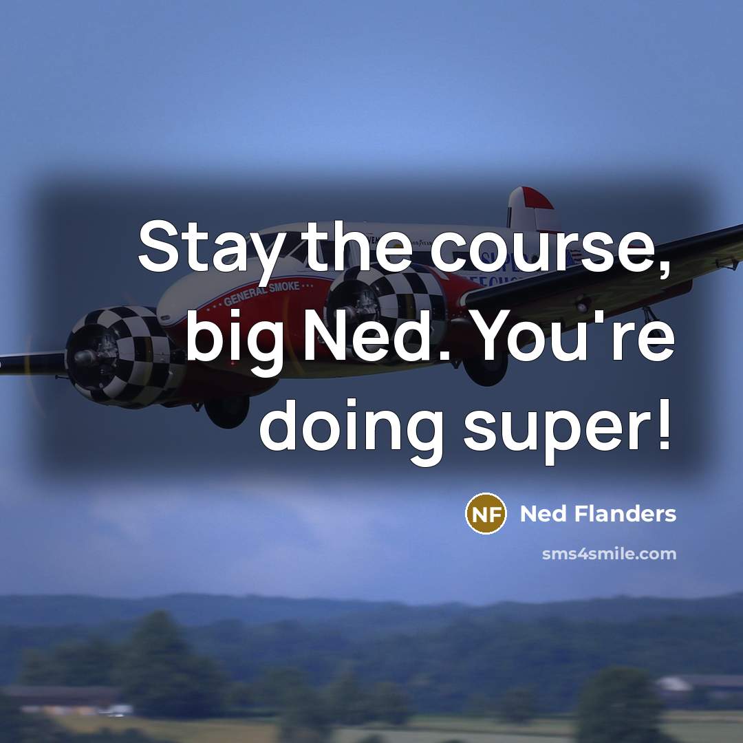 “Stay the course, big Ned. You're doing super!…” quote by Ned Flanders