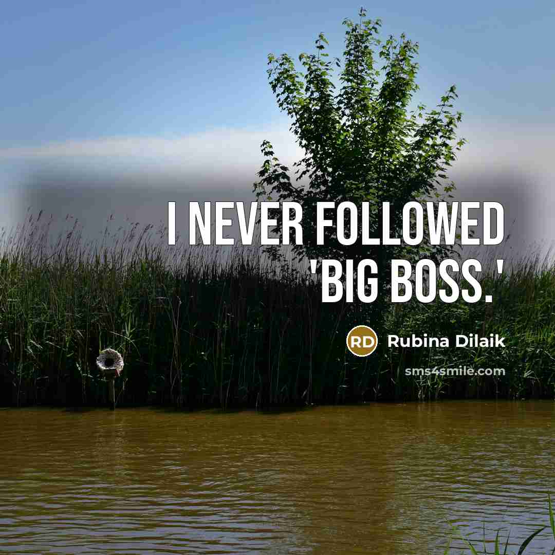 “I never followed 'Big Boss.'…” quote by Rubina Dilaik