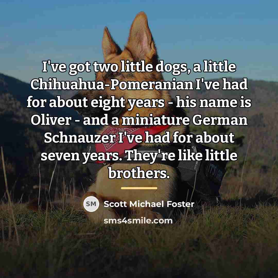 “I've got two little dogs, a little Chihuahua-Pomeranian I've had…” quote by Scott Michael Foster