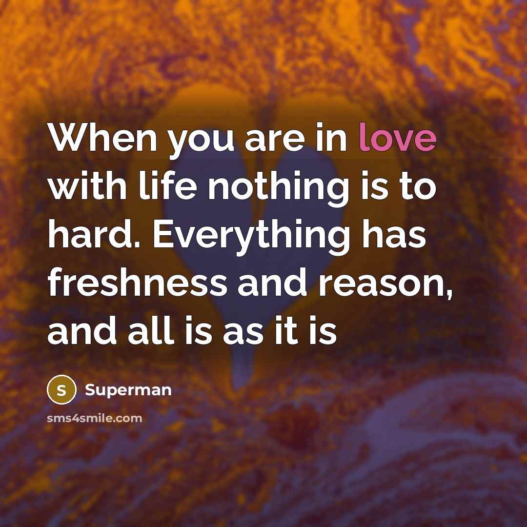 “When you are in love with life nothing is to…” quote by Superman
