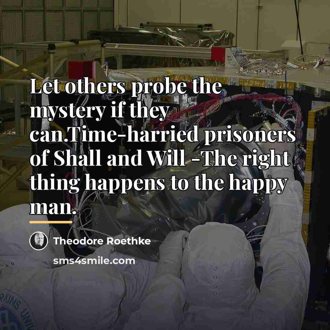 “Let others probe the mystery if they can.Time-harried prisoners of…” quote by Theodore Roethke