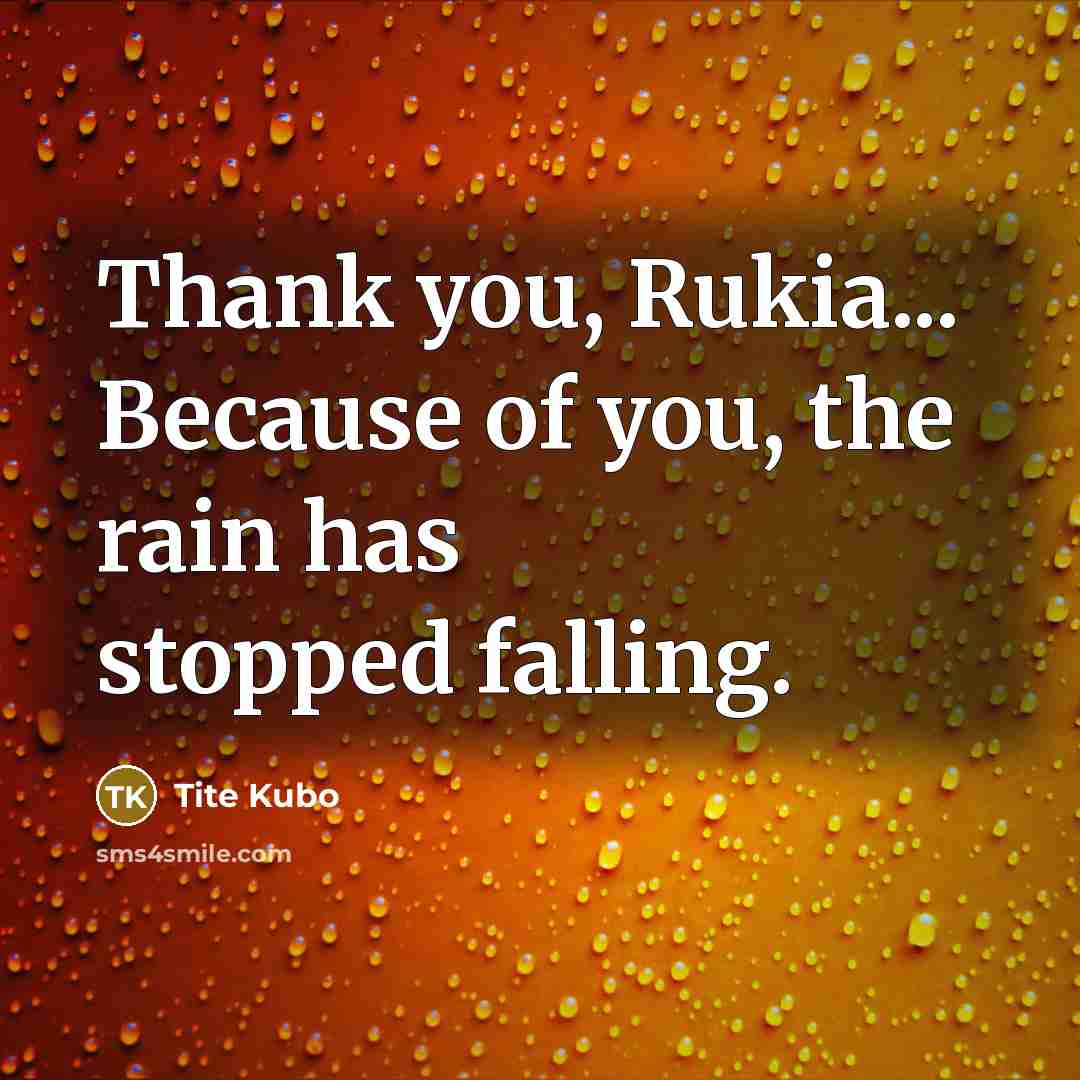 “Thank you, Rukia... Because of you, the rain has stopped…” quote by Tite Kubo