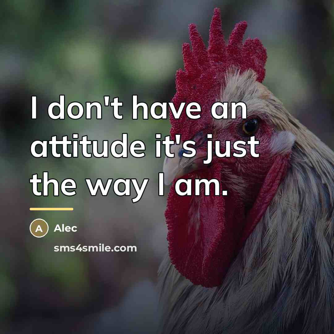 “I don't have an attitude it's just the way I…” quote by Alec