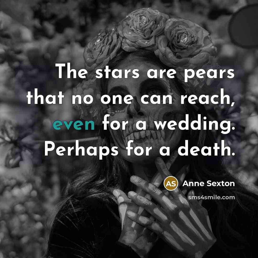 “The stars are pears that no one can reach, even…” quote by Anne Sexton