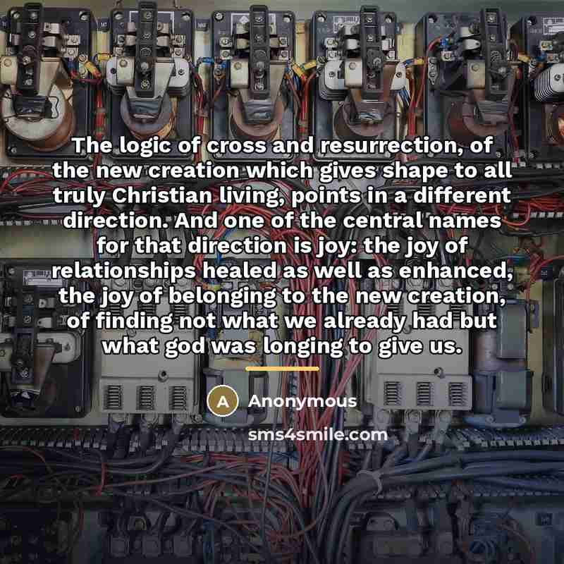 “The logic of cross and resurrection, of the new creation…” quote by Anonymous