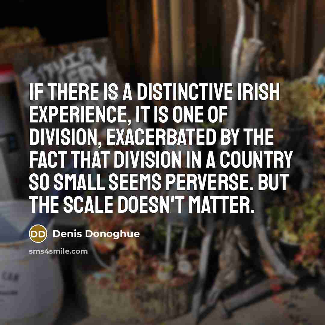 “If there is a distinctive Irish experience, it is one…” quote by Denis Donoghue